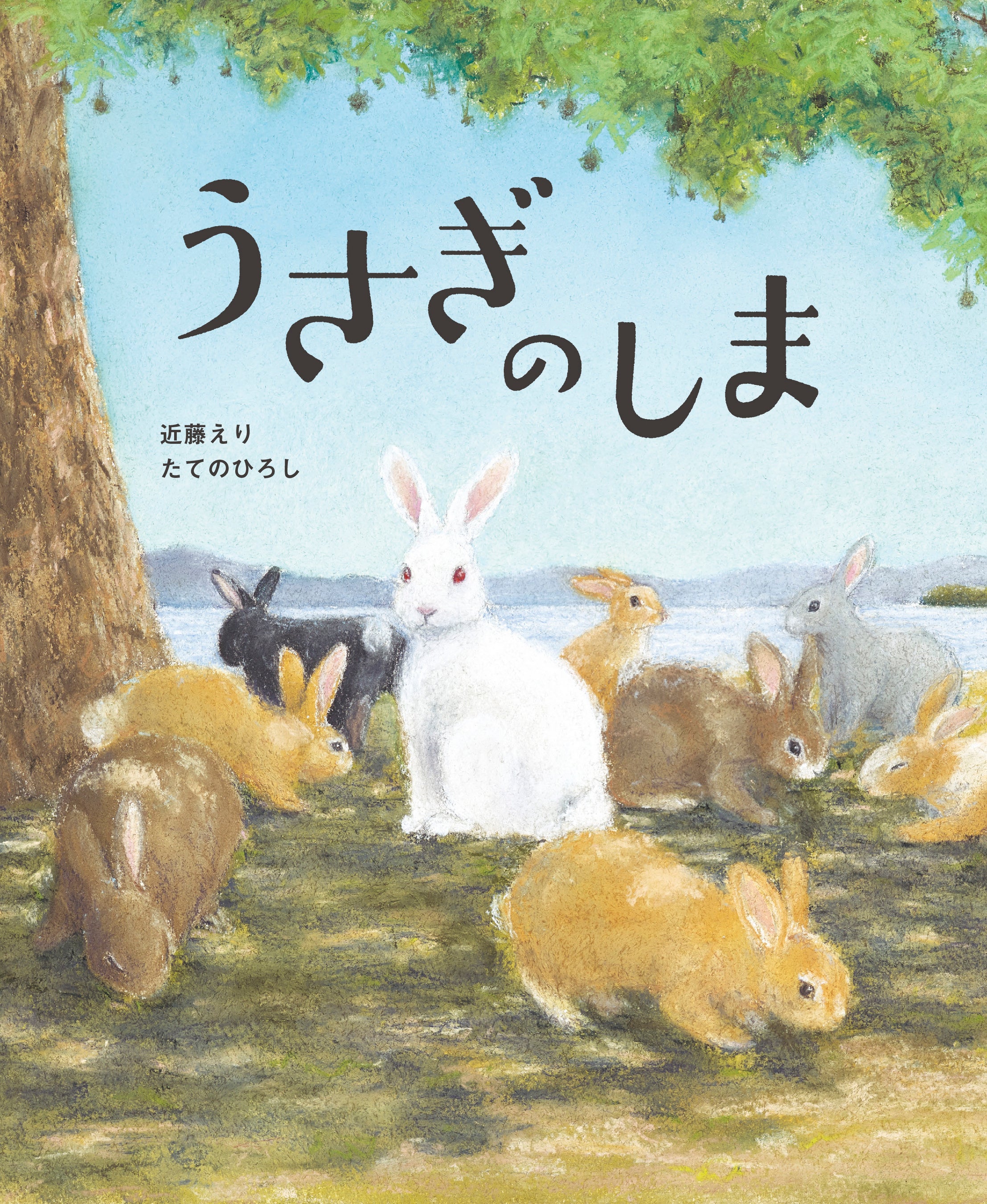 『うさぎのしま』表紙